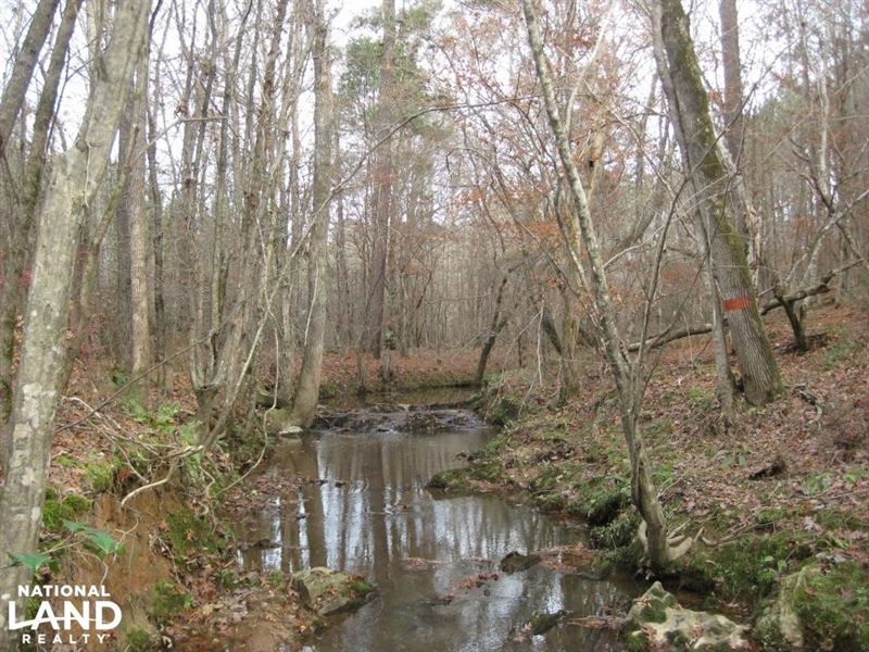 McCormick Hunting, Timber, Homesite : McCormick : McCormick County : South Carolina