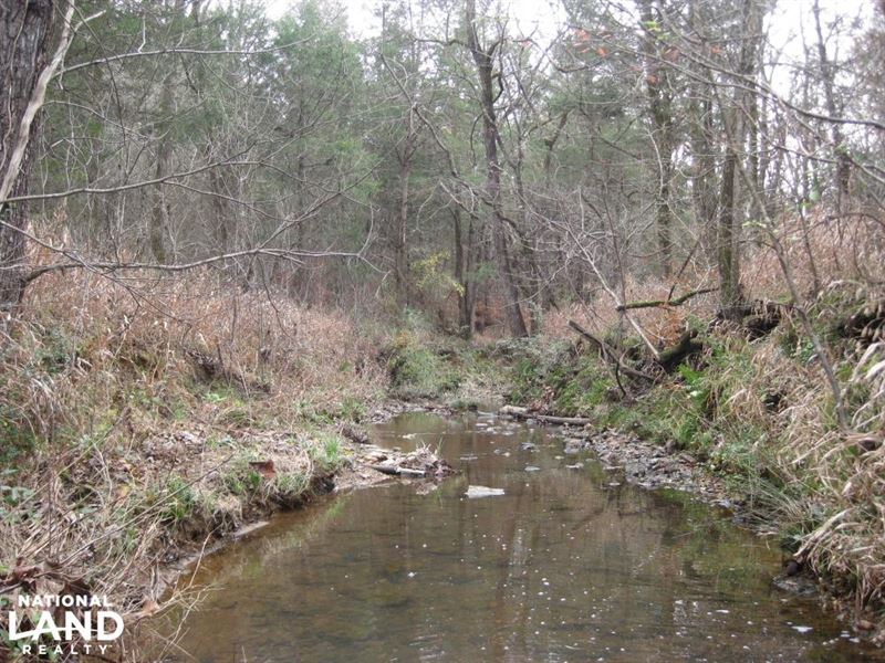 Liberty Hill Timber, Homesite, And : McCormick : McCormick County : South Carolina