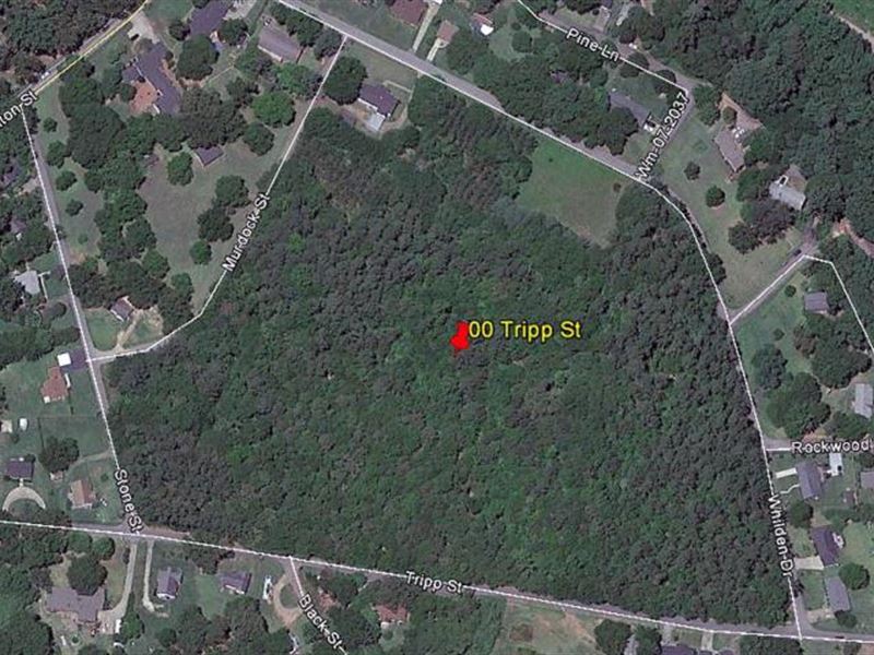 Untouched 15+ Acre Parcel : Williamston : Anderson County : South Carolina