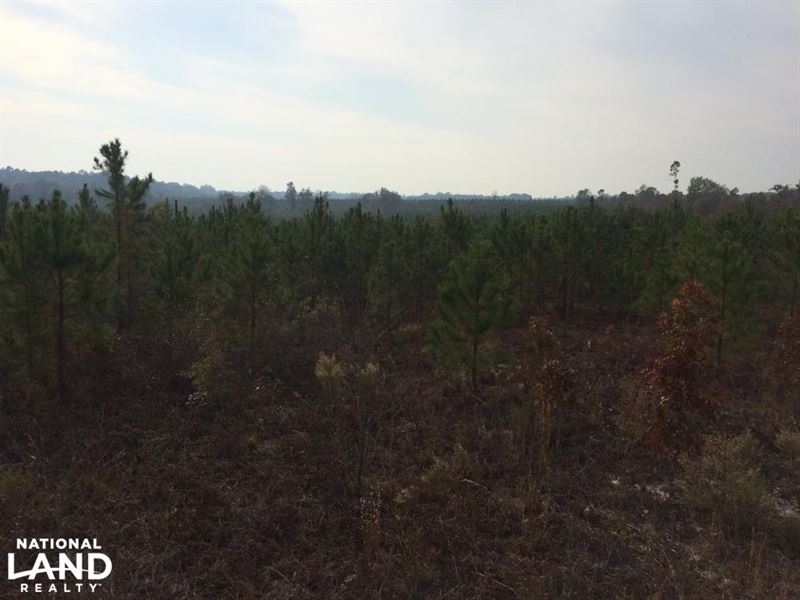 Camden Acreage : Camden : Kershaw County : South Carolina