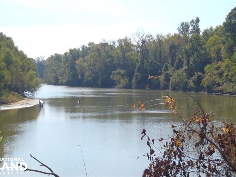 Alabama River Cutoff Tract : Carlton : Clarke County : Alabama