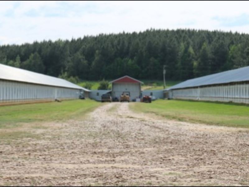 80 Acres in Winston County : Noxapater : Winston County : Mississippi