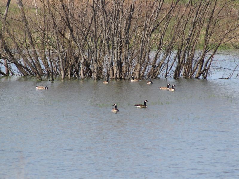 Cr 24 - 122 Acres : De Graff : Logan County : Ohio