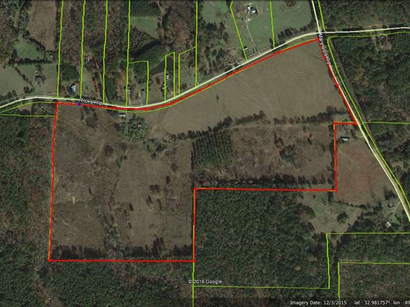 Home Site Or Mini Farm Ranch for Sale in Noxapater, Winston County