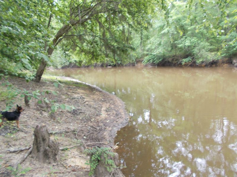 Ogeechee River Property : Louisville : Jefferson County : Georgia