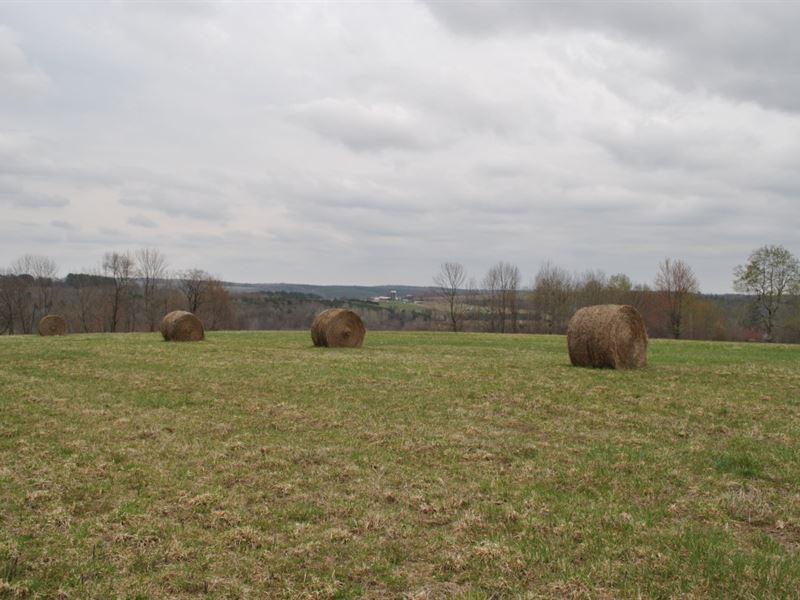 76 Acres Farmland Whitney Point Ny : Triangle : Broome County : New York