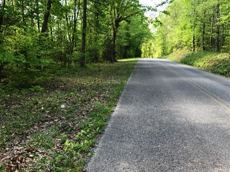 Hurricane Ridge Tract : Ten Mile : Roane County : Tennessee