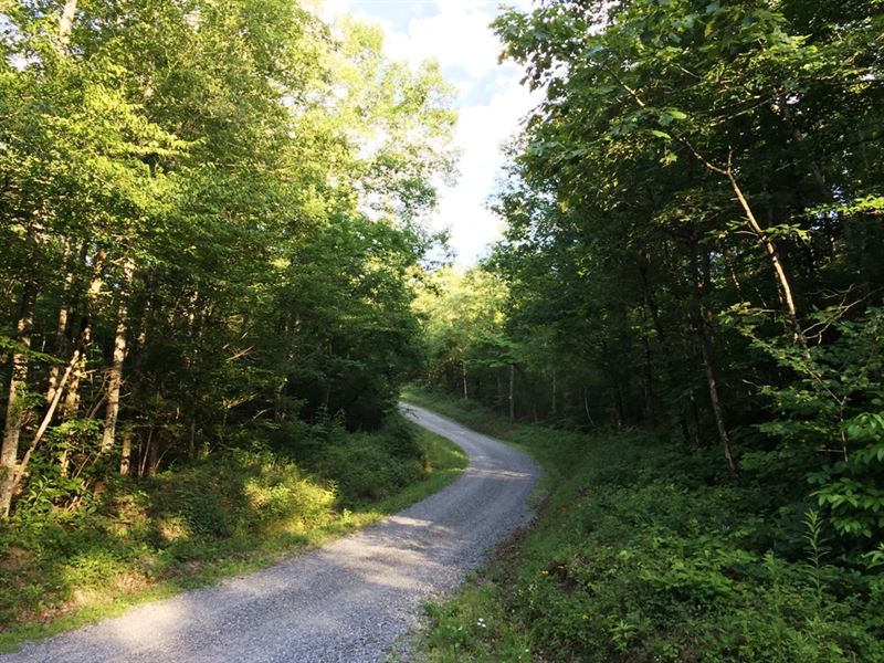 Laurel Mountain South Tract : Madisonville : Monroe County : Tennessee