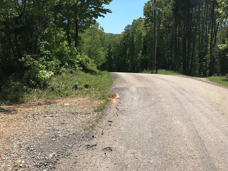 Mocking Crow Mountain Tract : Tellico Plains : Monroe County : Tennessee