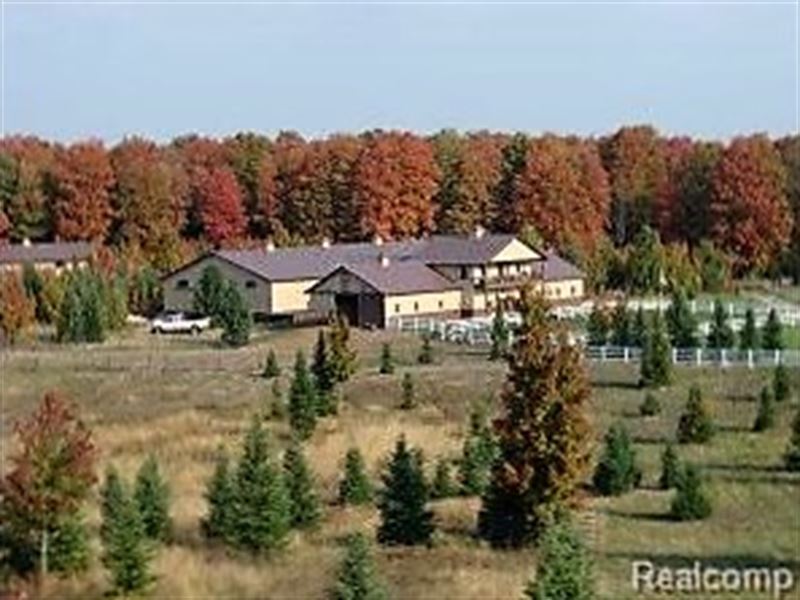 136 Acres in The Heart Of Michigan : Vanderbilt : Otsego County : Michigan