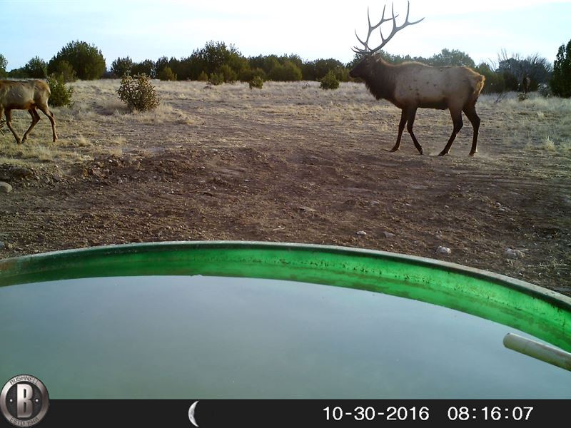 Homestead Ranch : La Junta : Las Animas County : Colorado