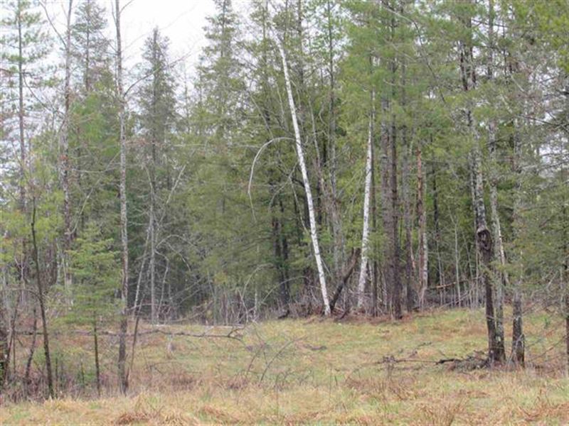 22 Acres M28 in Kenton : Duncan : Houghton County : Michigan
