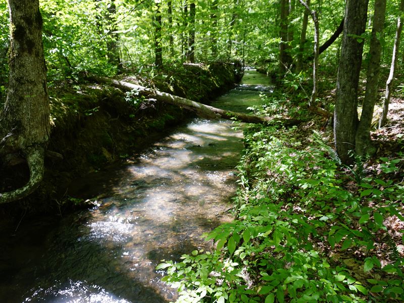 93 Acres in Roane County : Rockwood : Roane County : Tennessee