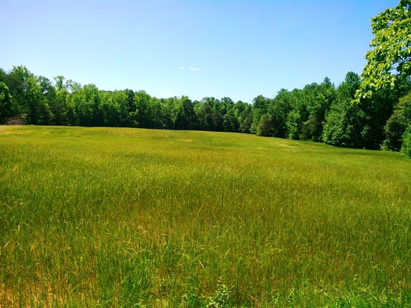 Sparks Farm : Gaffney : Cherokee County : South Carolina