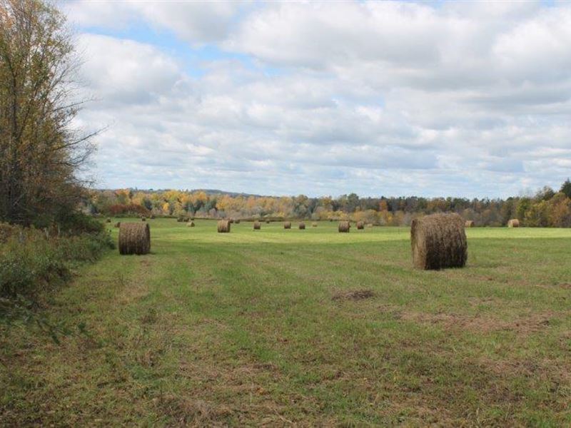 54 Acres Farmland Norway Ny Views : Norway : Herkimer County : New York