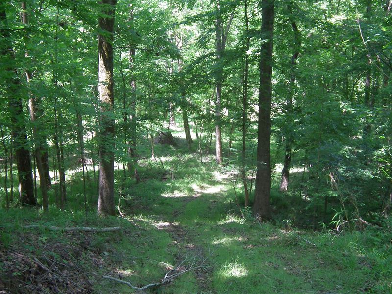 Cox Ferry Road 46 : Bolton : Hinds County : Mississippi