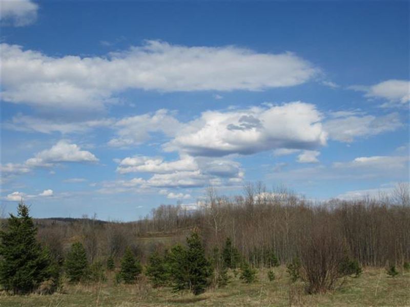 Parcel C On M-28, Mls 1101367 : Covington : Baraga County : Michigan