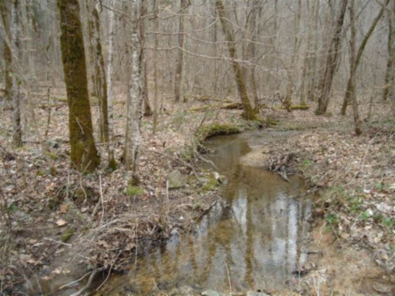 218 Acres Wooded, Creek Fentress Co : Jamestown : Fentress County : Tennessee