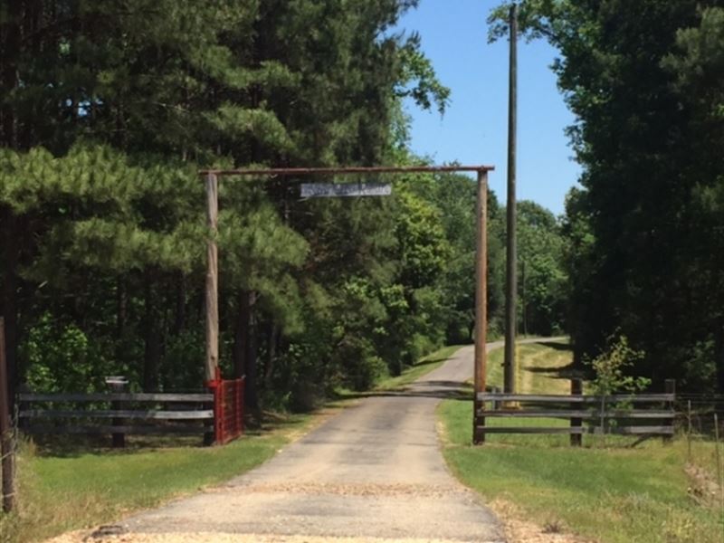 Silver Creek Ranch 518 Acres Marion : Foxworth : Marion County : Mississippi
