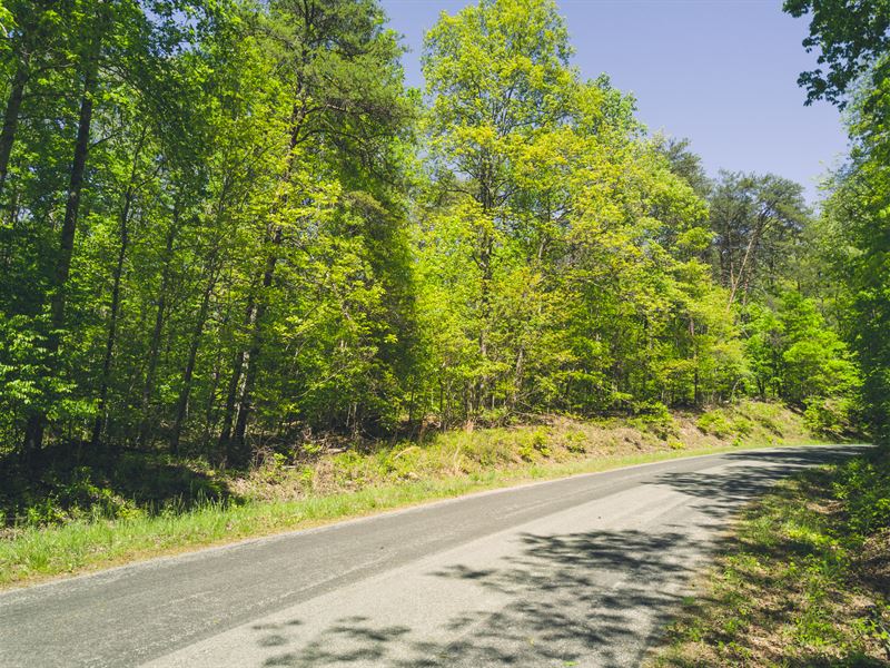Perfect for Hunting and Fishing : Chatham : Pittsylvania County : Virginia