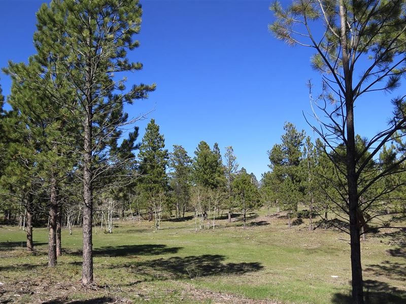 Elliott Acreage : Four Corners : Weston County : Wyoming