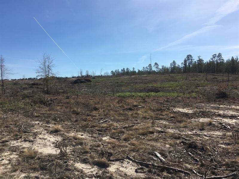 Timberland Or Recreation Tract : Dublin : Laurens County : Georgia