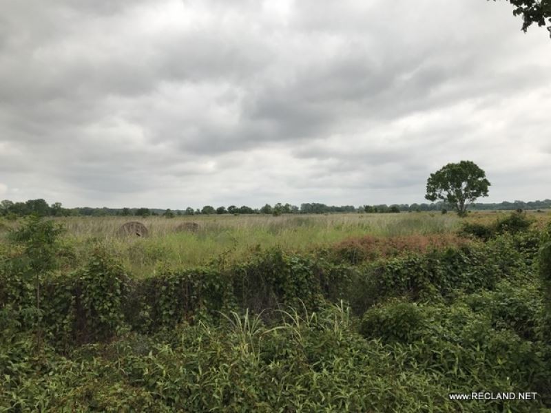 20 Ac Old Farm Land for Hunting : Kilbourne : West Carroll Parish : Louisiana