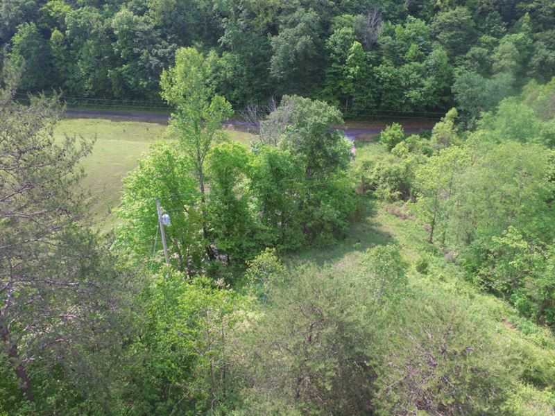 20+ Unrestricted Acres : Bean Station : Grainger County : Tennessee