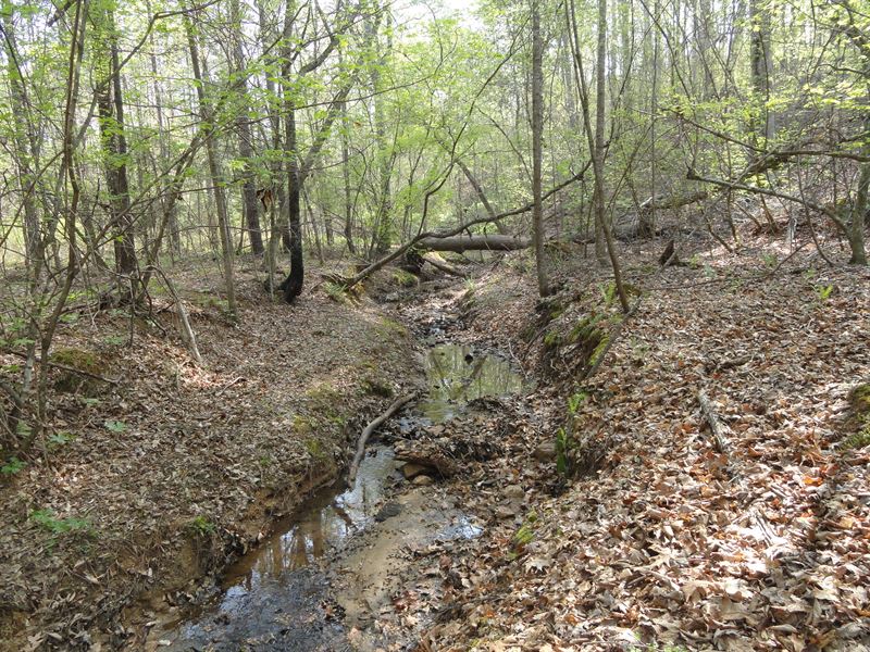 Neely Ferry Road Tract : Laurens : Laurens County : South Carolina