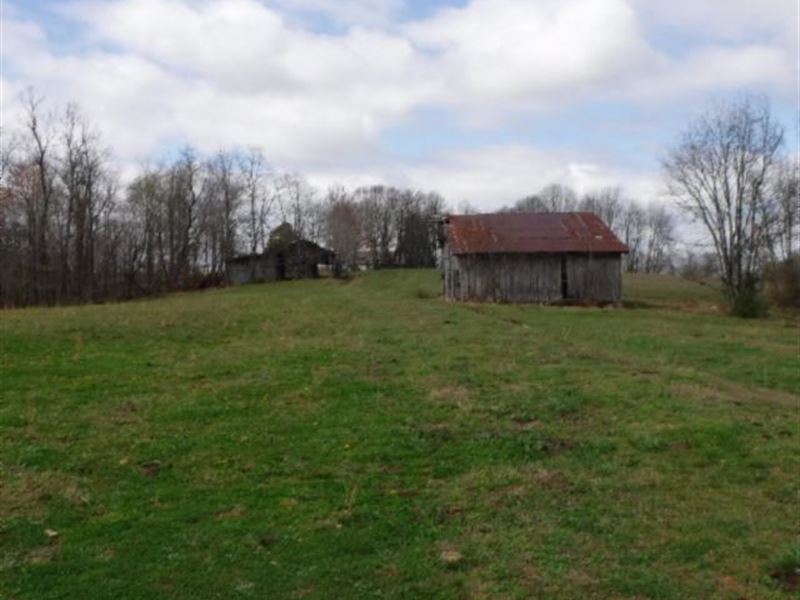 68.30 Acres Pastures in Macon Co. : Lafayette : Macon County : Tennessee
