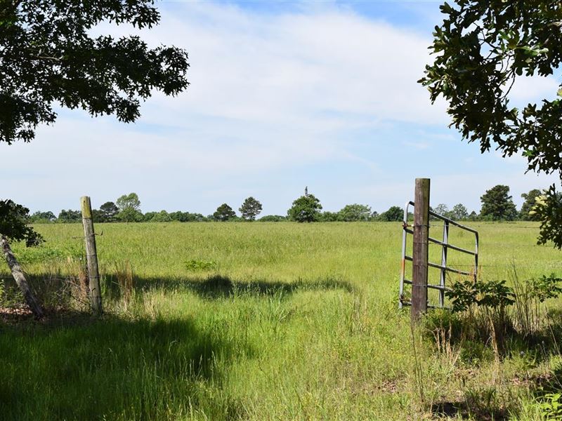 North Buck Hollow Ranch : Tahlequah : Cherokee County : Oklahoma