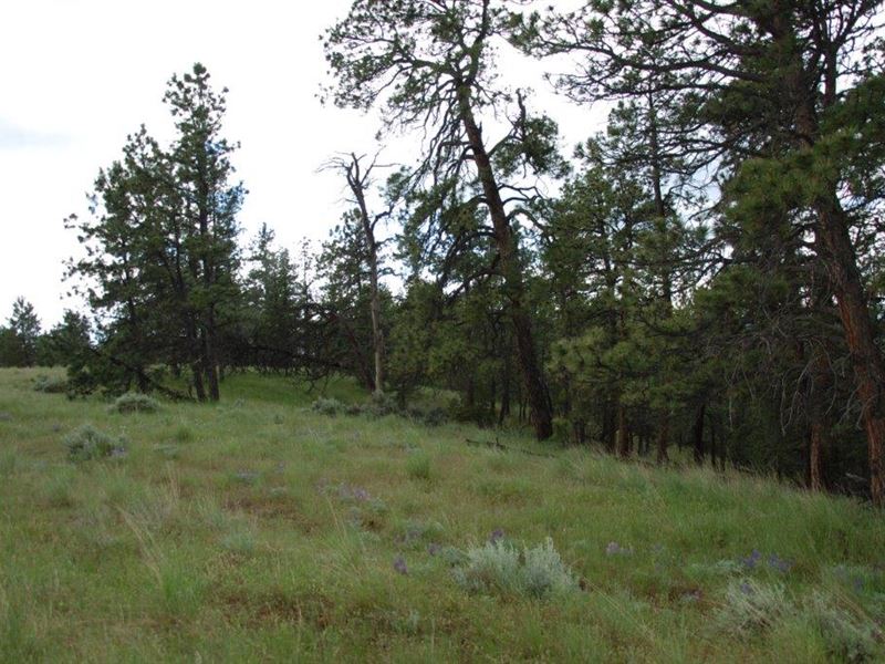 Build in The Heart Of Yellowstone : Columbus : Stillwater County : Montana