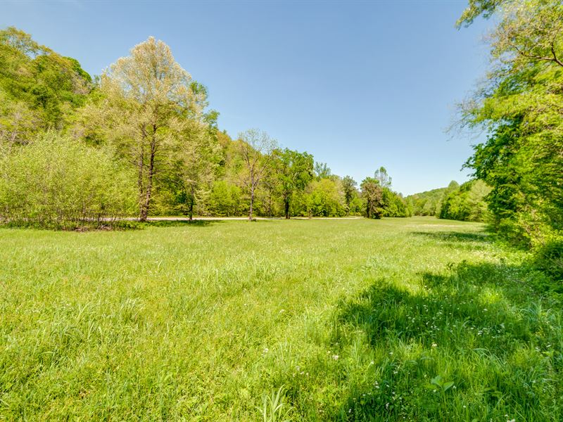 518 Acre Hunting Tract : Mount Pleasant : Maury County : Tennessee