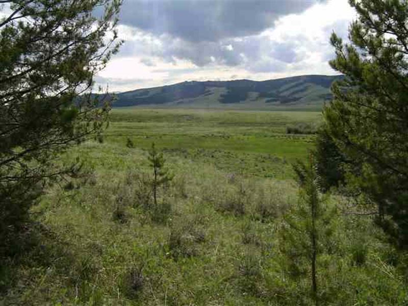 Arrowstone Tract 8 : Philipsburg : Granite County : Montana