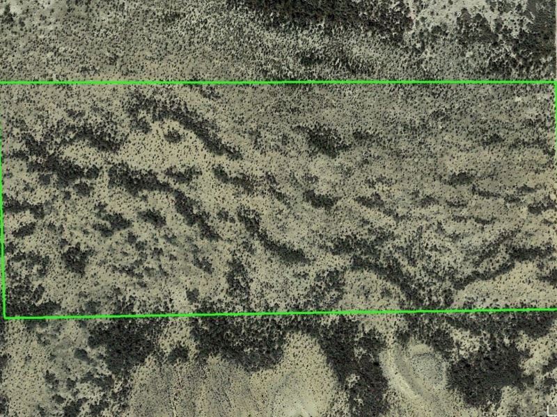 20 Acres, Easy Access : Alpine : Brewster County : Texas