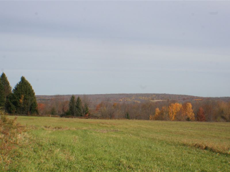 14 Acres Building Site Ellington Ny : Ellington : Chautauqua County : New York