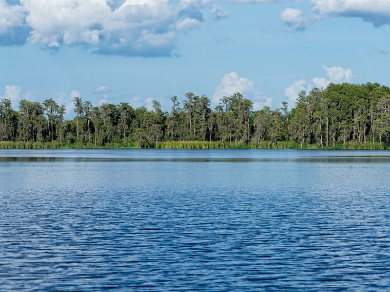 Lakefront Liquidation Orlando : Groveland : Lake County : Florida