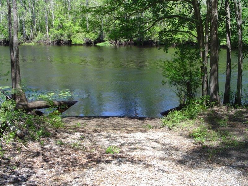 Mingo Creek Plantation : Georgetown : Georgetown County : South Carolina