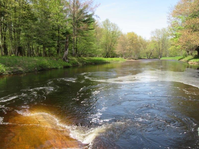 12 Acres Independence River in Ny : Greig : Lewis County : New York