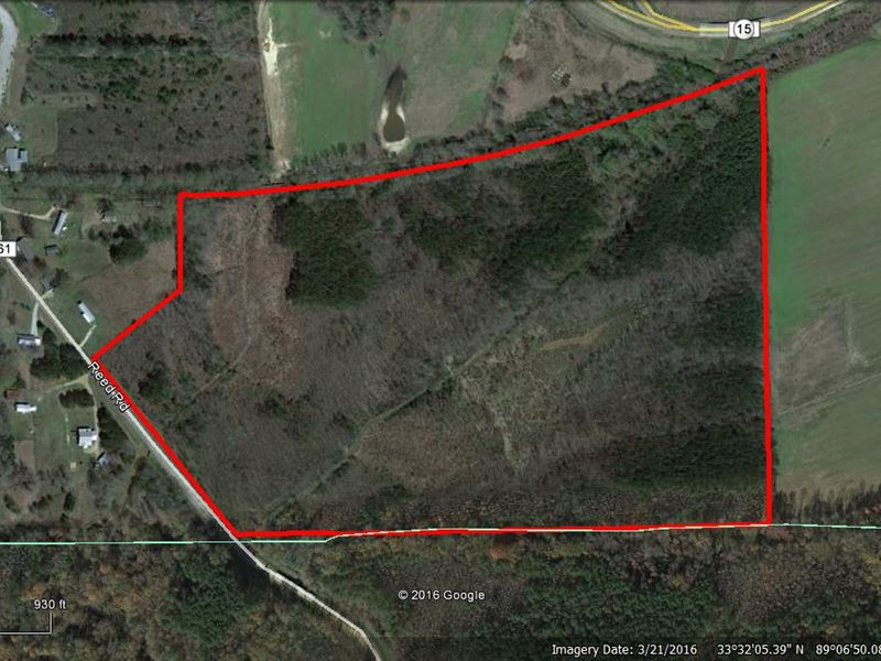 Land for Sale in Mathiston, Ms : Mathiston : Webster County : Mississippi