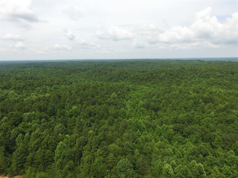 174 Wooded Acres : Linden : Perry County : Tennessee
