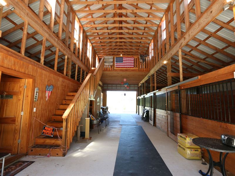 Shoal Creek Horse Farm : Odenville : Jefferson County : Alabama