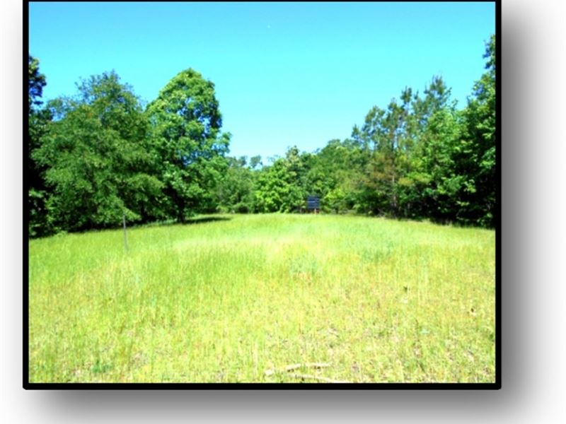 16.78 Acres in Calhoun County : Pittsboro : Calhoun County : Mississippi