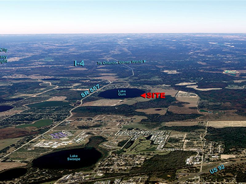 N E Polk Residential Acreage : Lake Alfred : Polk County : Florida