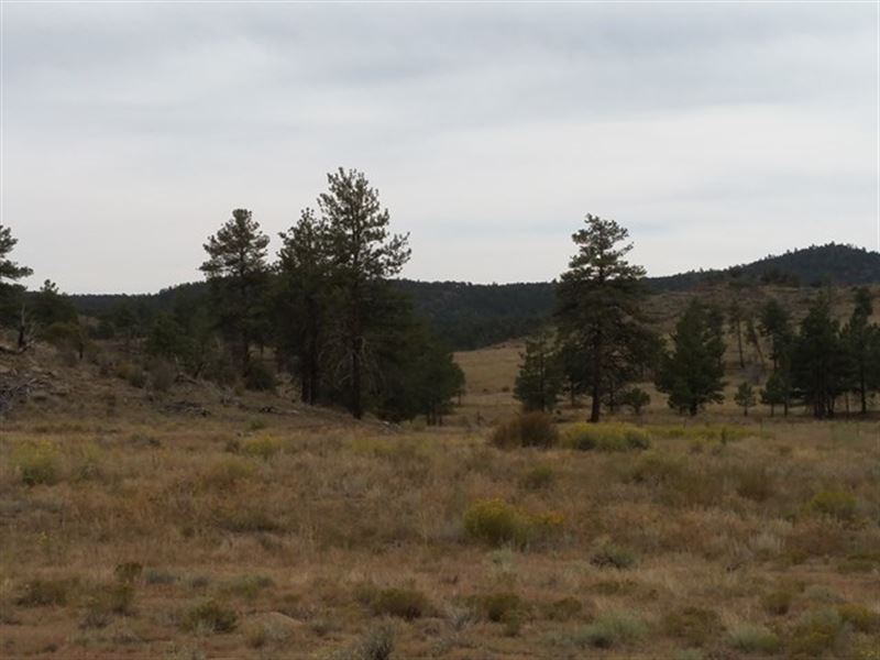 Mountain Views : Cotopaxi : Fremont County : Colorado