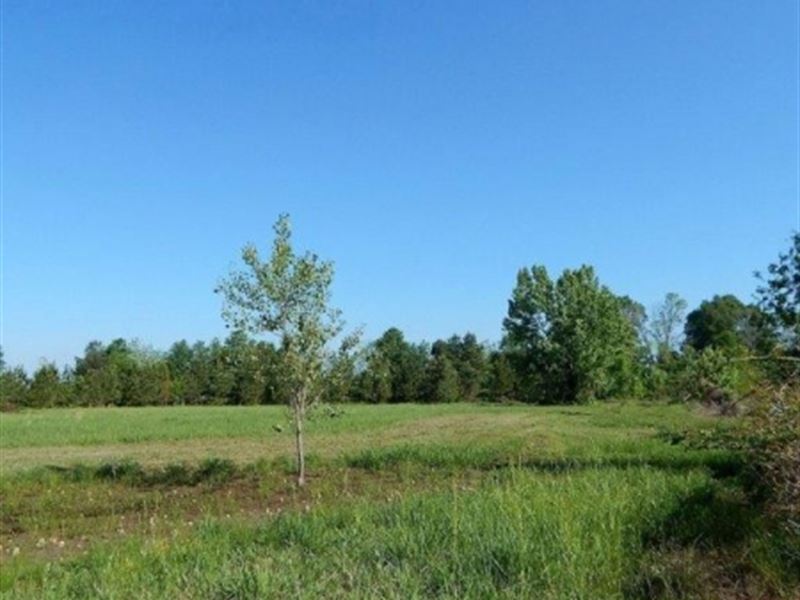 11.5 Acres in Yazoo County : Yazoo City : Yazoo County : Mississippi