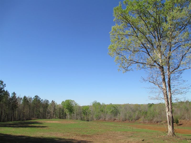 Nice Country Setting On 60+/- Acres : La Fayette : Chambers County : Alabama