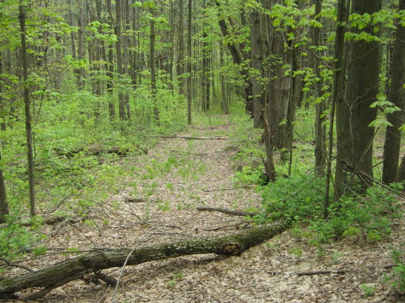 34 Acres Near Elmira : Van Etten : Chemung County : New York