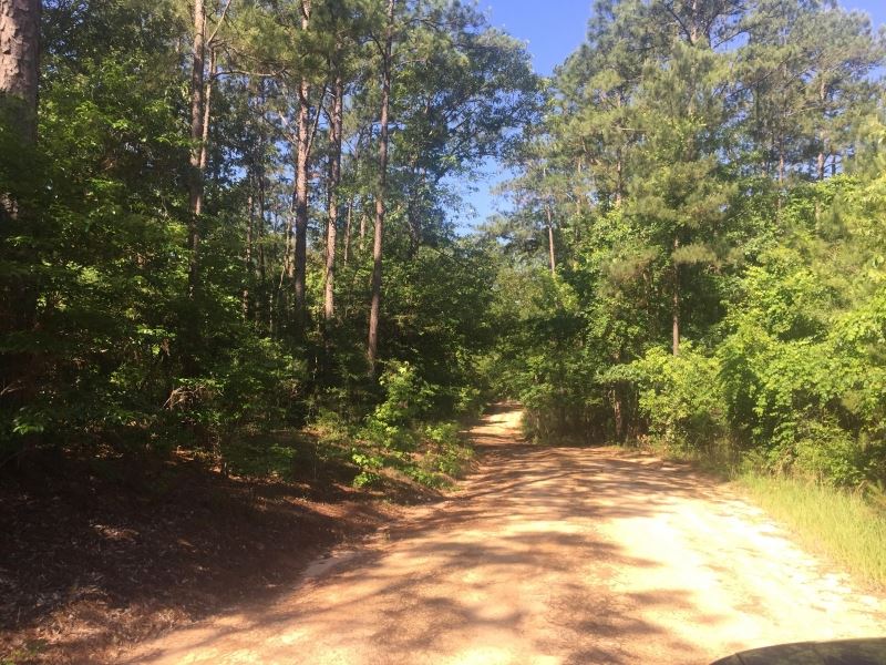 35 Acres Of Residential Or Developm : Hattiesburg : Lamar County : Mississippi