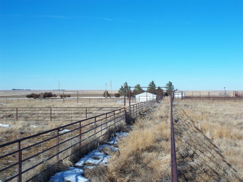 Sidney Cattle Facility : Sidney : Cheyenne County : Nebraska